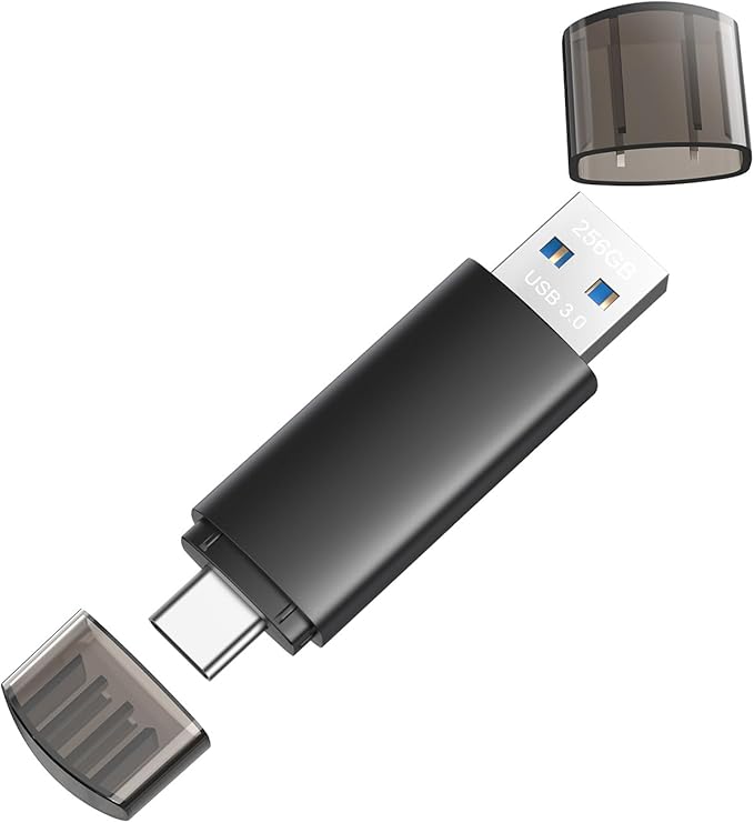 Read more about the article 256GB USB C