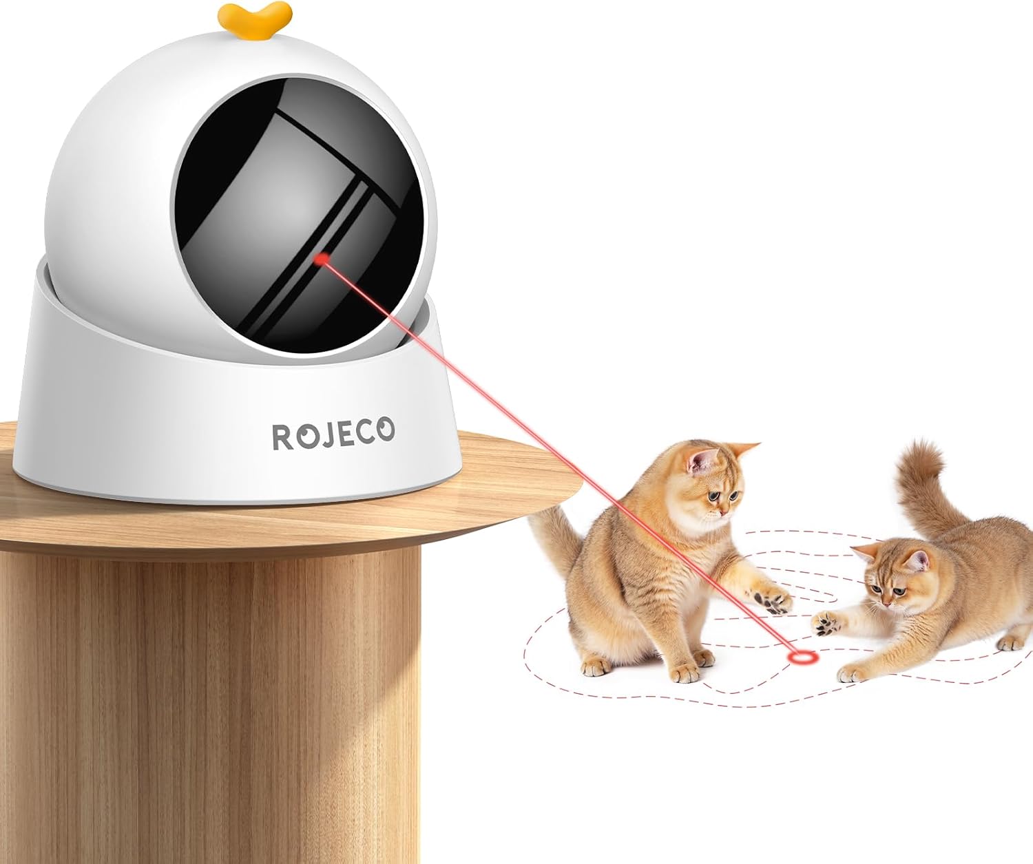 Read more about the article Auto Laser Cat Toy