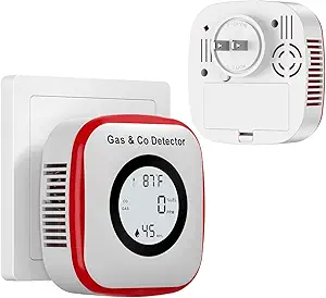 Read more about the article Detector