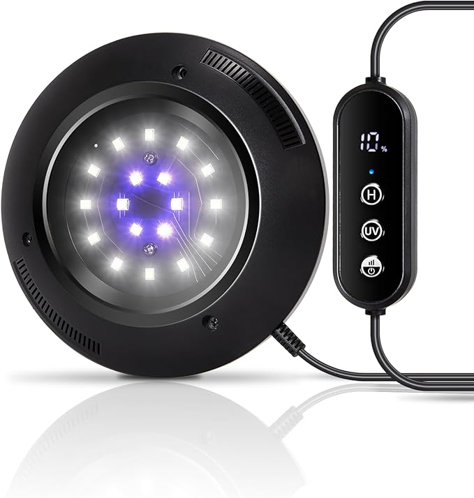 Read more about the article Light