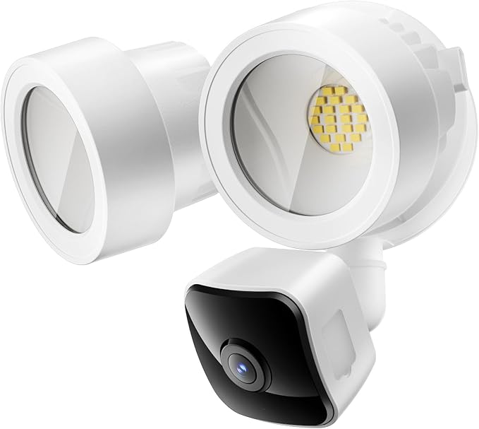 Read more about the article LED surveillance light