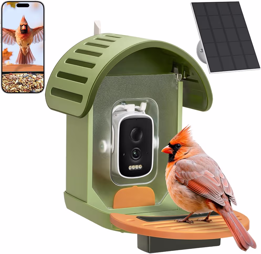 Read more about the article Smart Bird Feeder with Camera
