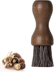 Read more about the article pilzbürste