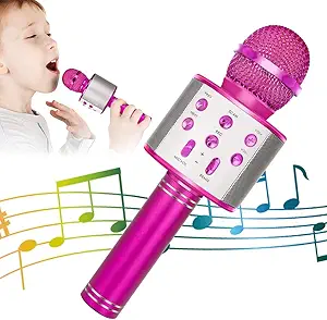 Read more about the article Wireless Bluetooth Karaoke