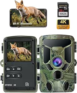 Read more about the article wildkamera