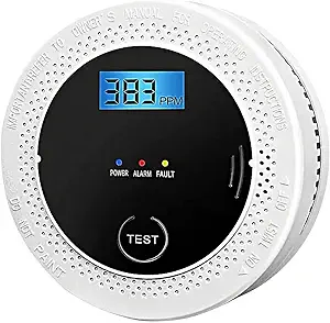 Read more about the article Carbon Monoxide