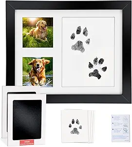 Read more about the article Paw print kit for dogs