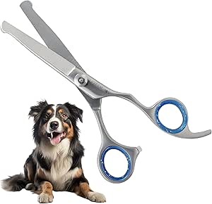 Read more about the article Dog grooming scissor