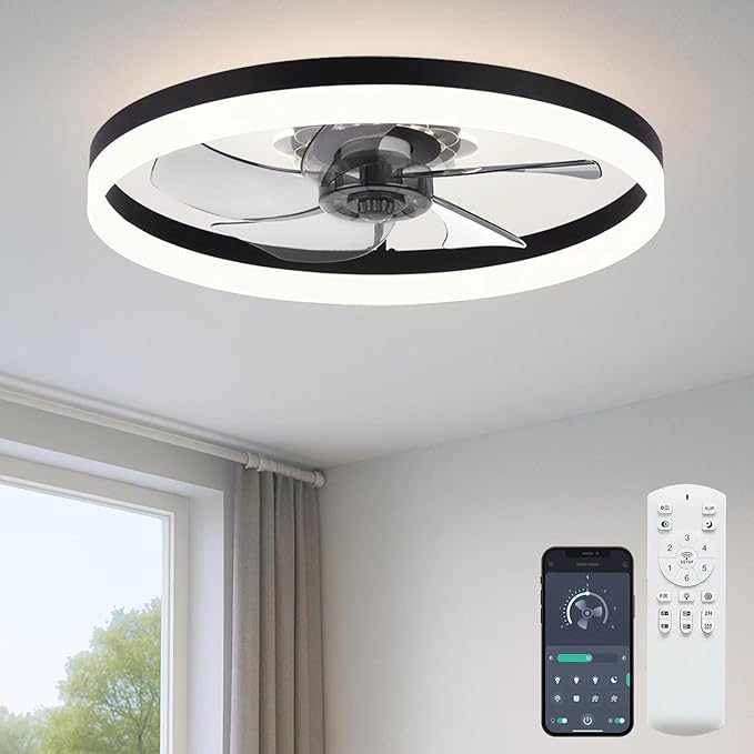 Read more about the article 20” Ceiling Fan with Light