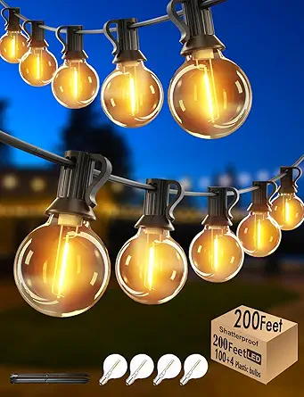 Read more about the article 