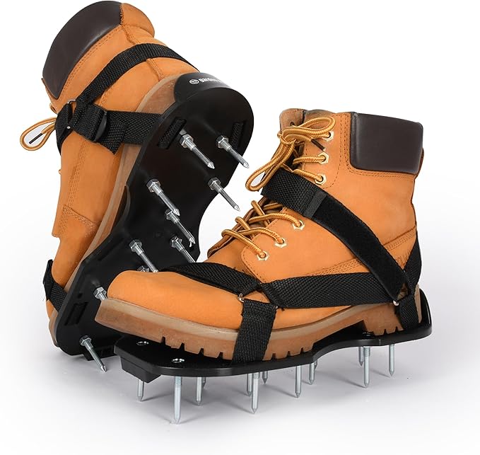 Read more about the article Lawn aretor shoes