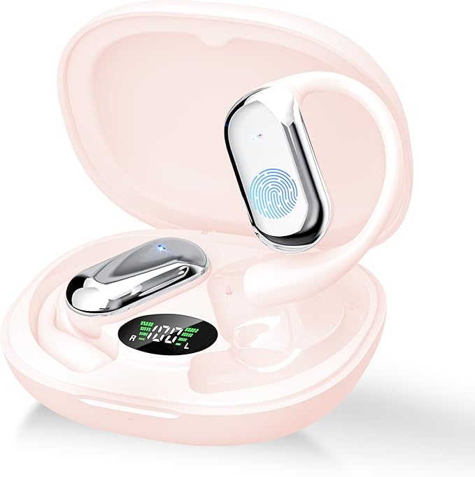 Read more about the article Earbuds