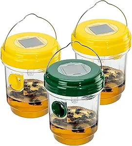 Read more about the article 3 pack wasp traps outdoor hanging
