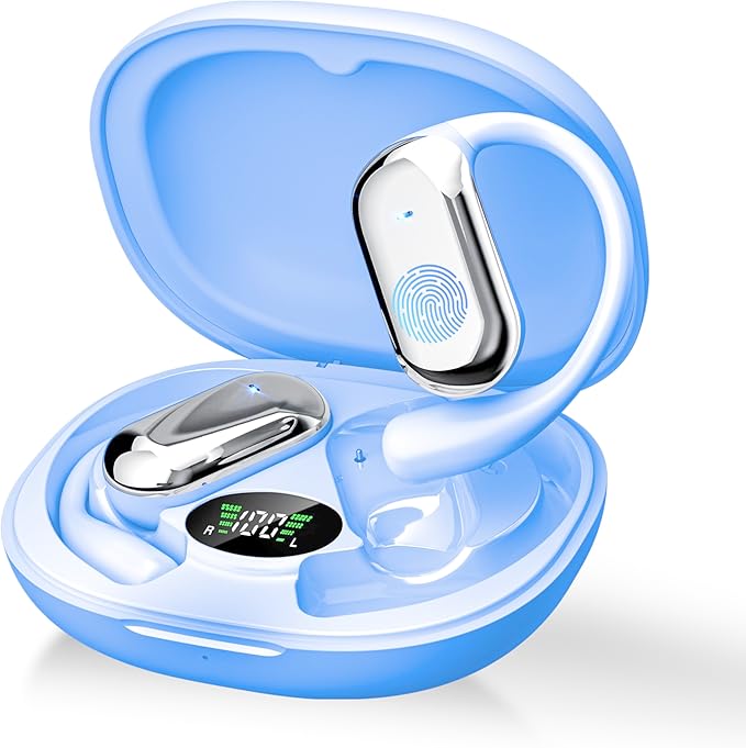 Read more about the article Earbuds