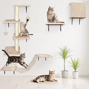 Read more about the article 