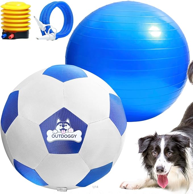 Read more about the article Herding Ball