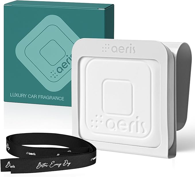 Read more about the article Aeris Car