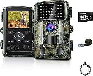Read more about the article Wildlife Camera