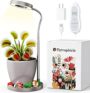 Read more about the article Venus Fly Trap Terrarium