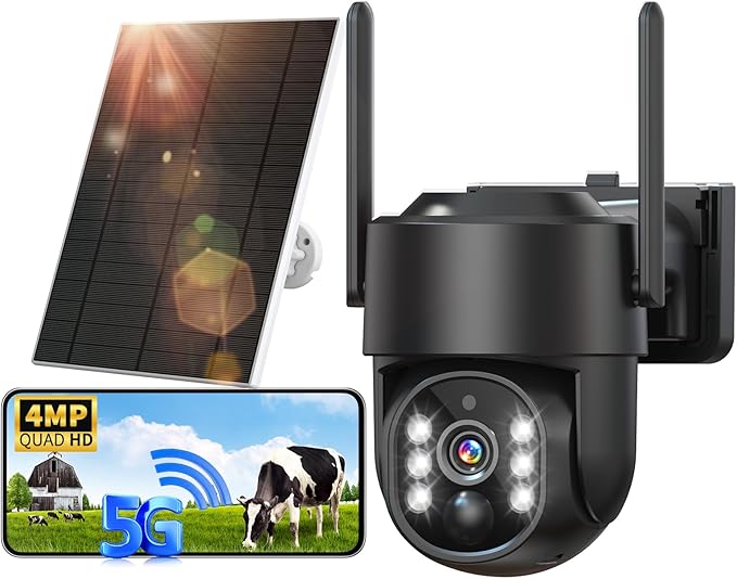 Read more about the article 