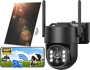 Read more about the article 