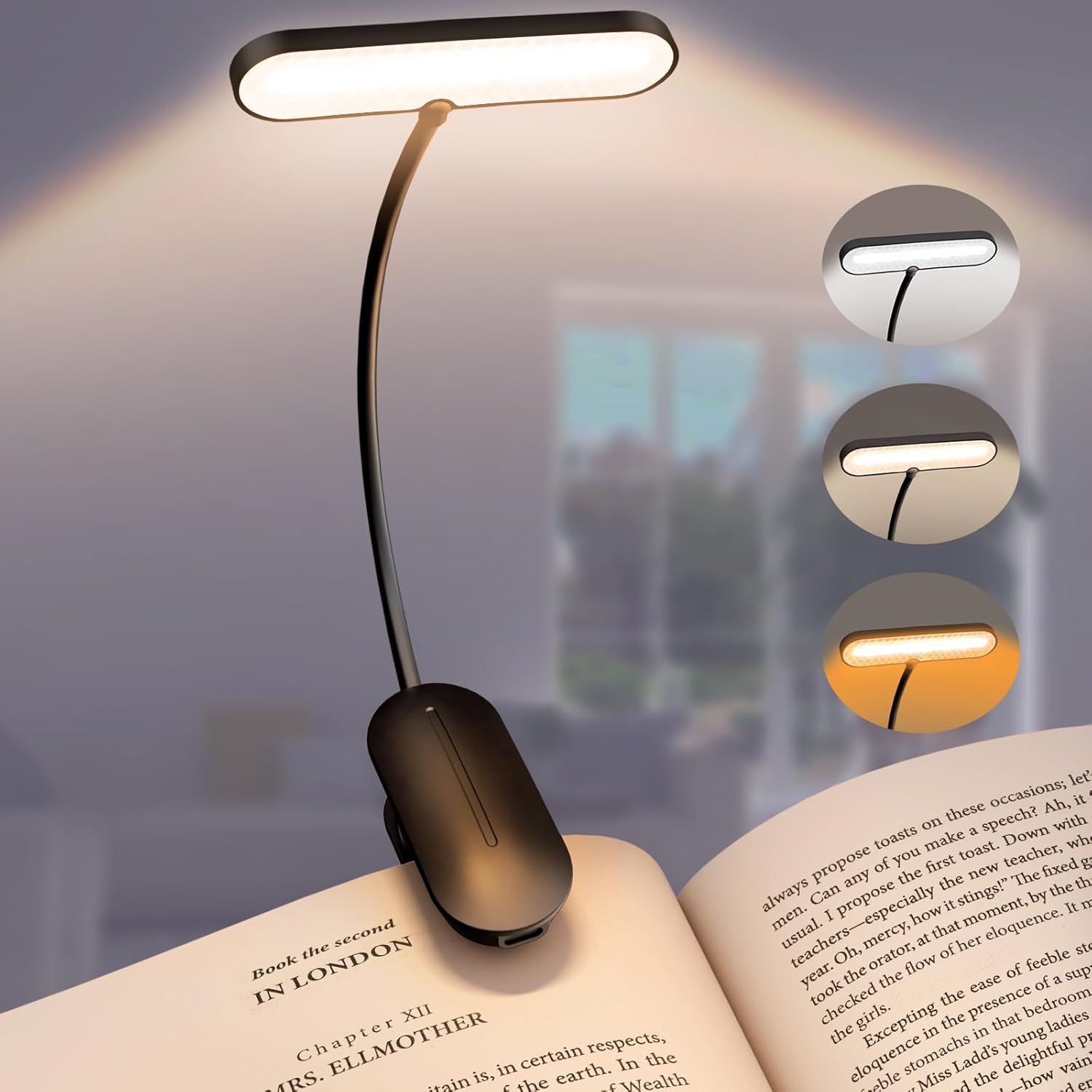 Read more about the article Book Light for