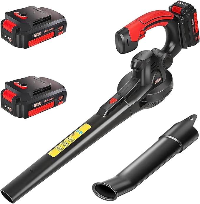 Read more about the article 