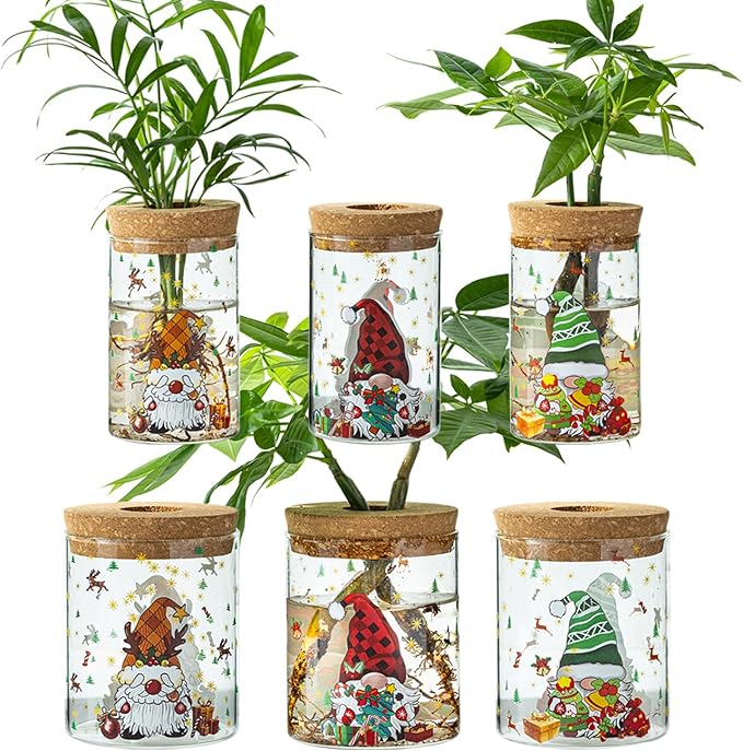 Read more about the article Plant jars