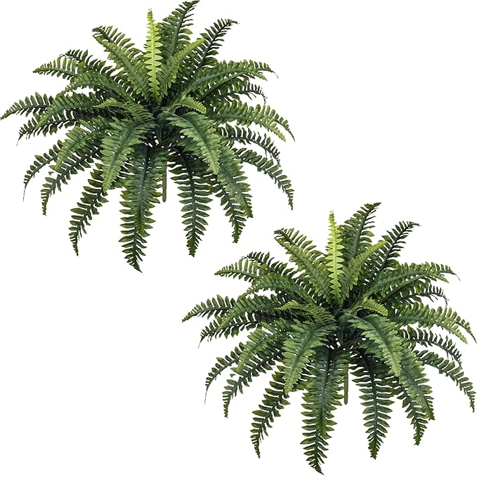 Read more about the article fake ferns