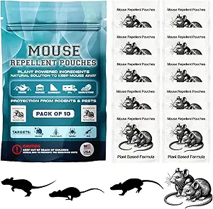 Read more about the article Vamoose