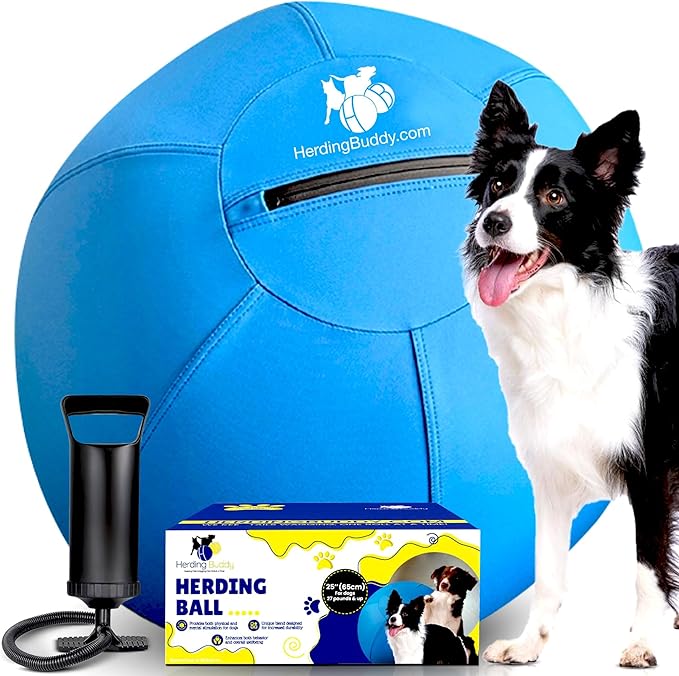 Read more about the article Herding Ball for Dogs
