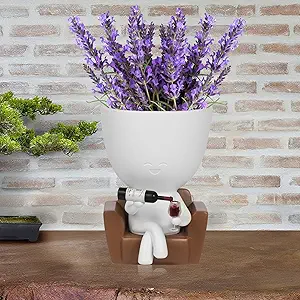 Read more about the article Funny Wine Planter