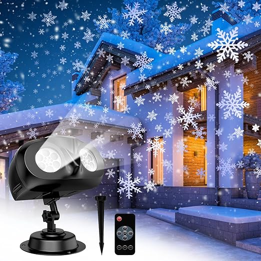 Read more about the article 