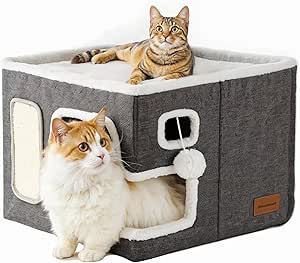 Read more about the article Riverstcat Cat house