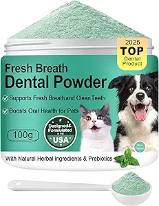 Read more about the article Teeth cleaning