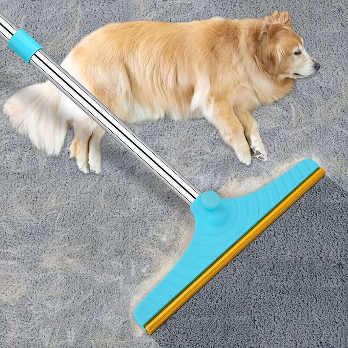 Read more about the article Carpet Rake for Pet