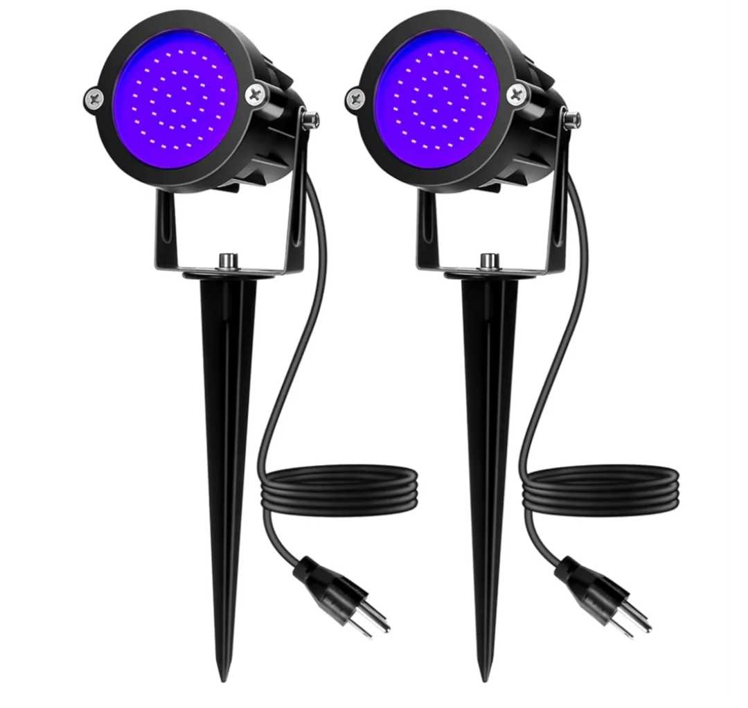 Read more about the article 