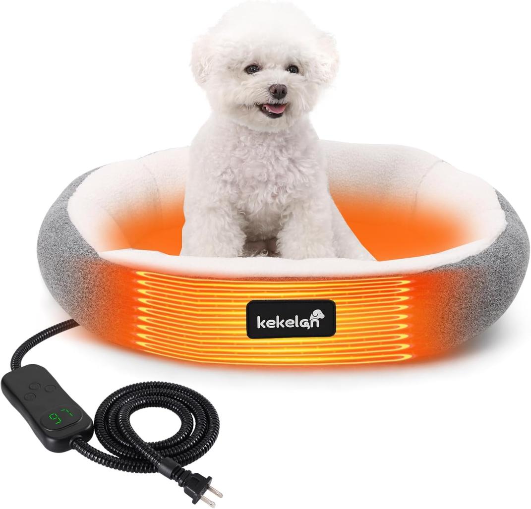 Read more about the article …