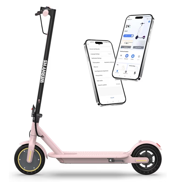 Read more about the article …