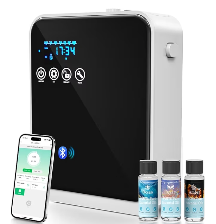 Read more about the article …