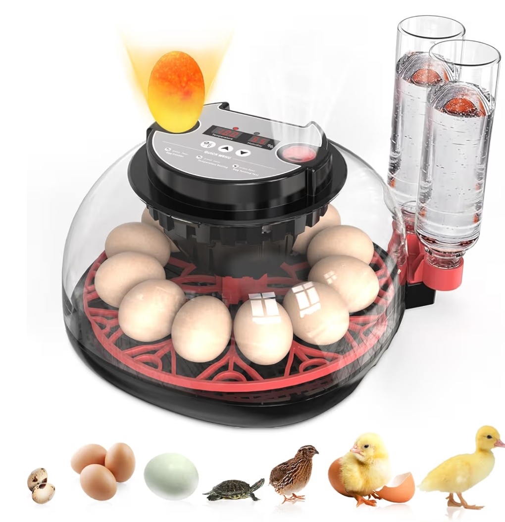 Read more about the article …….