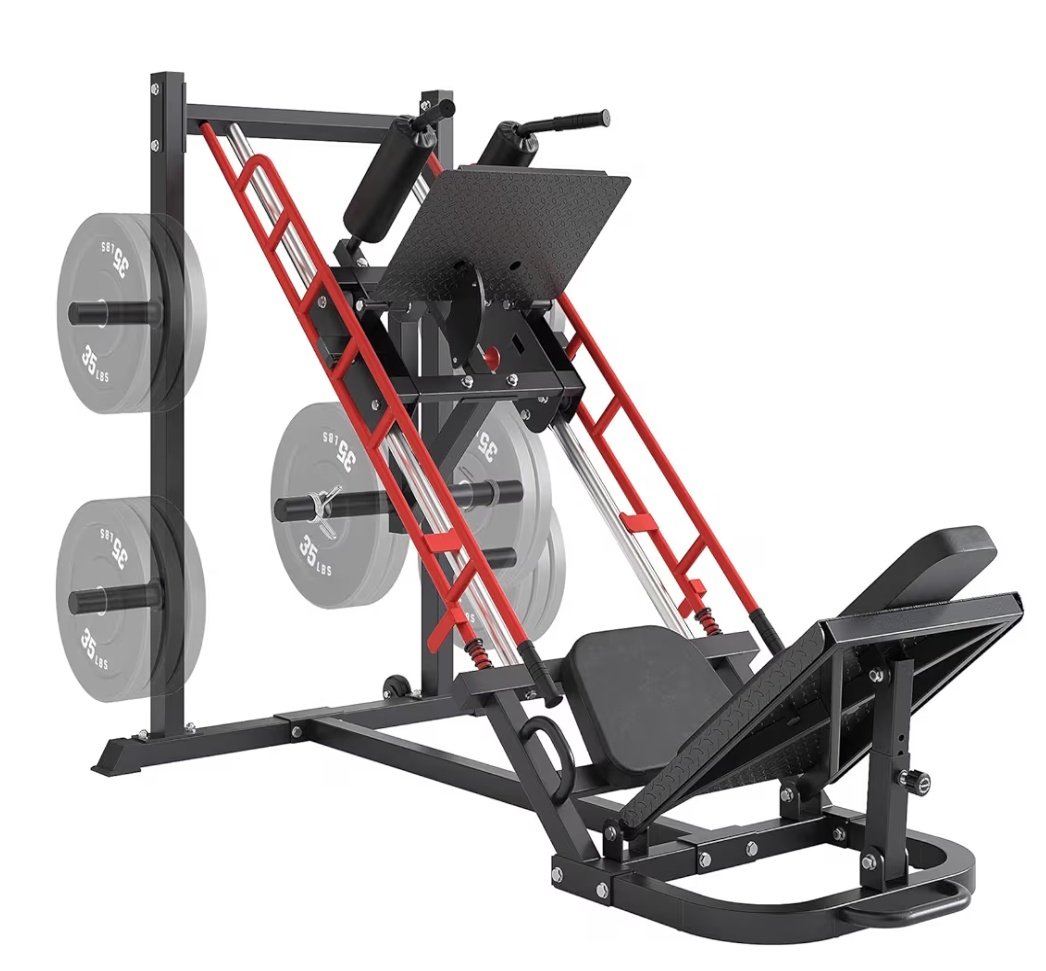 Read more about the article ………