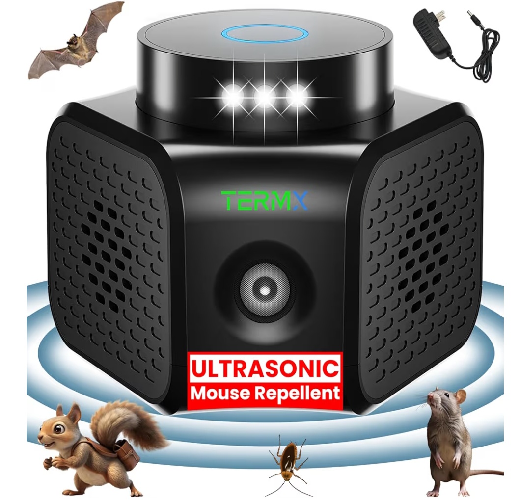 Read more about the article ……..