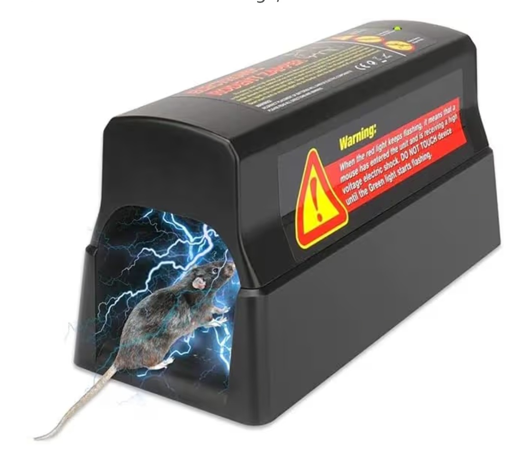 Read more about the article ………