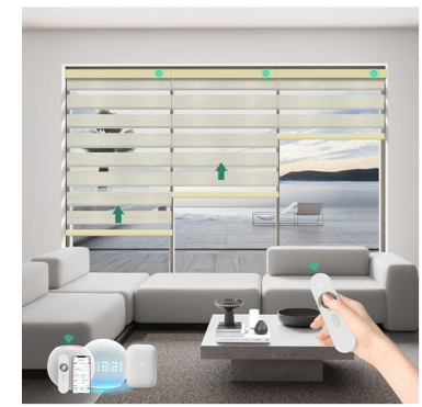 Read more about the article Zebra Blinds