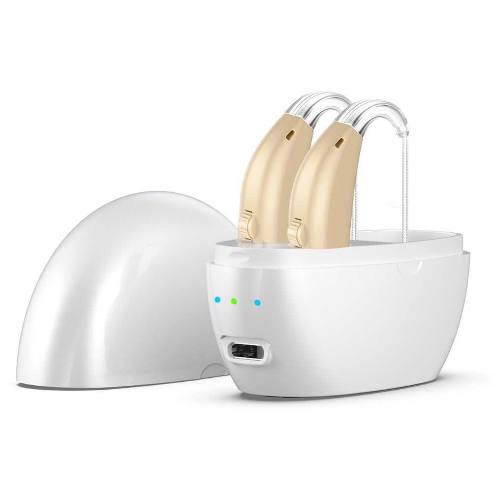 Read more about the article Hearing Aids