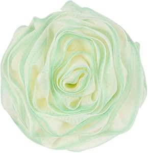 Read more about the article Shower Sponge z