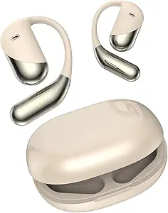 Read more about the article 