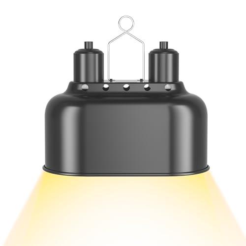 Read more about the article Heat Lamp