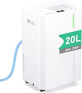 Read more about the article Dehumidifier